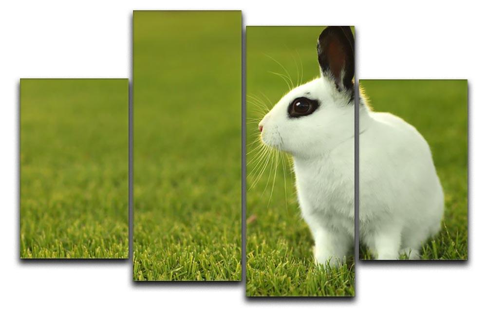Adorable White Bunny Rabbit 4 Split Panel Canvas - Canvas Art Rocks - 1