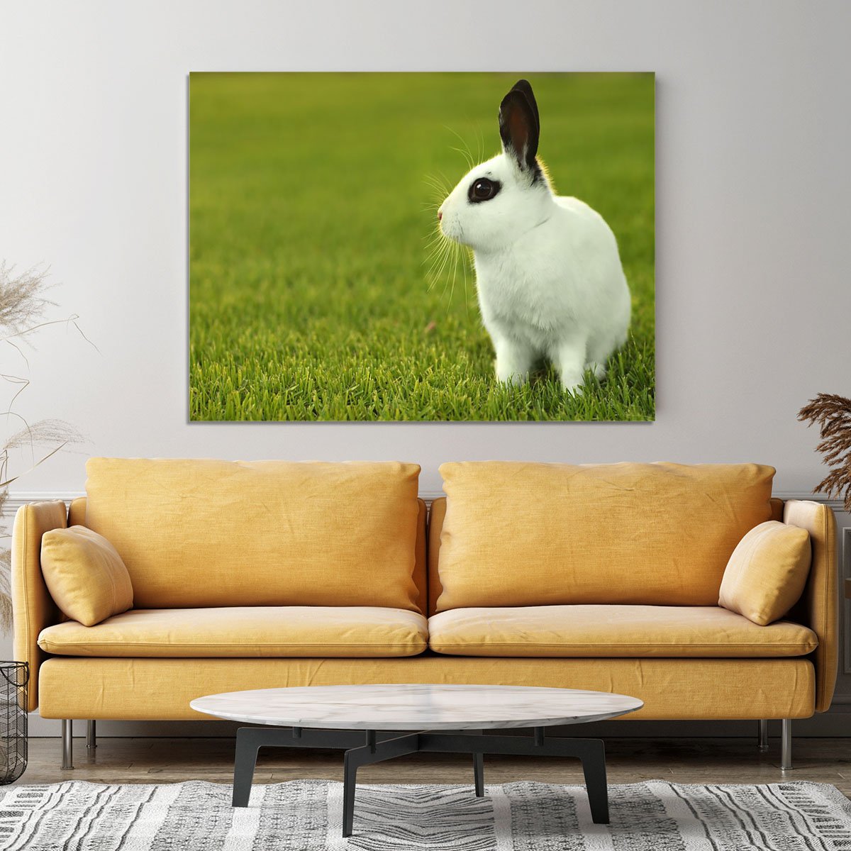 Adorable White Bunny Rabbit Canvas Print or Poster