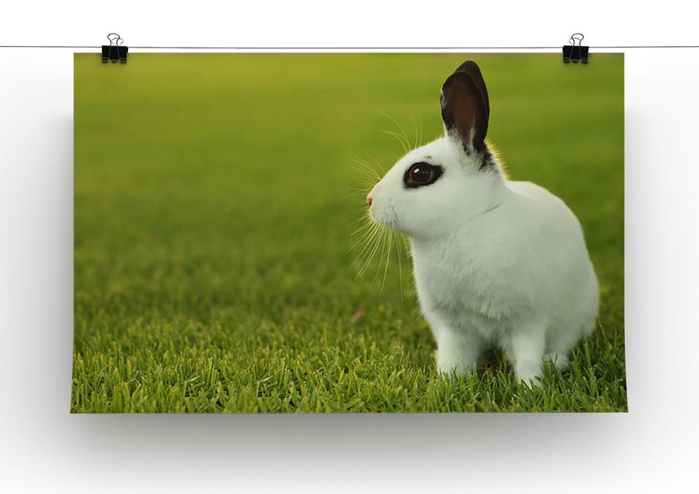 Adorable White Bunny Rabbit Canvas Print or Poster - Canvas Art Rocks - 2
