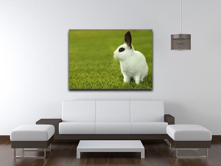 Adorable White Bunny Rabbit Canvas Print or Poster - Canvas Art Rocks - 4