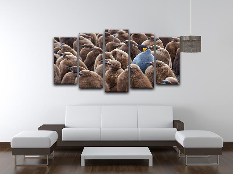 Adult King Penguin Aptenodytes patagonicus standing amongst a large group 5 Split Panel Canvas - Canvas Art Rocks - 3