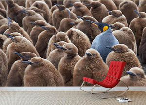 Adult King Penguin Aptenodytes patagonicus standing amongst a large group Wall Mural Wallpaper - Canvas Art Rocks - 2
