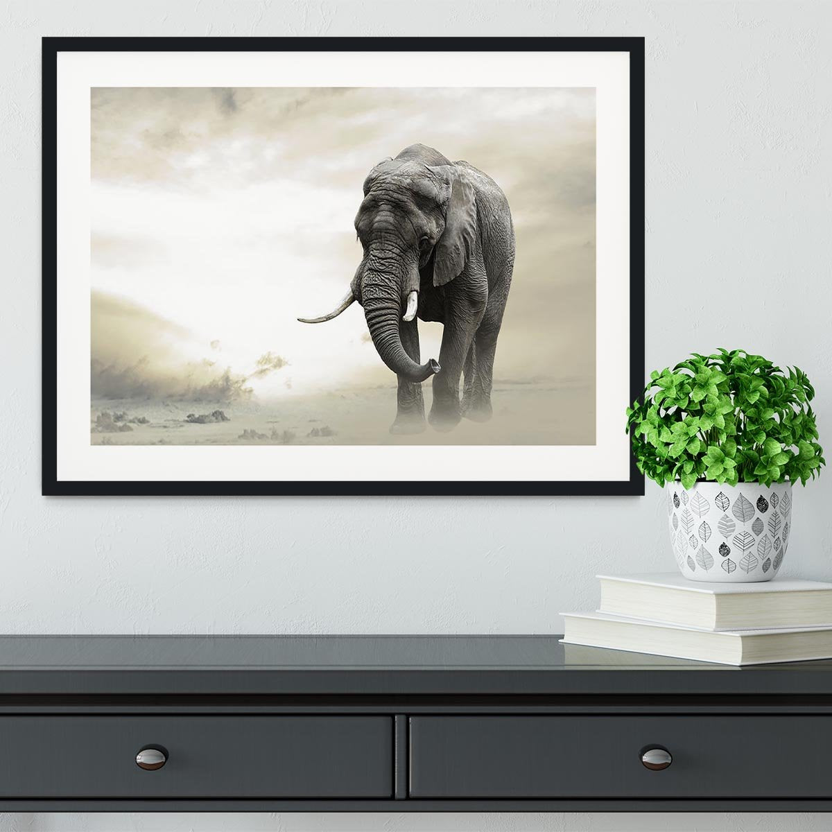 African elephant male walking alone in desert at sunset Framed Print - Canvas Art Rocks - 1