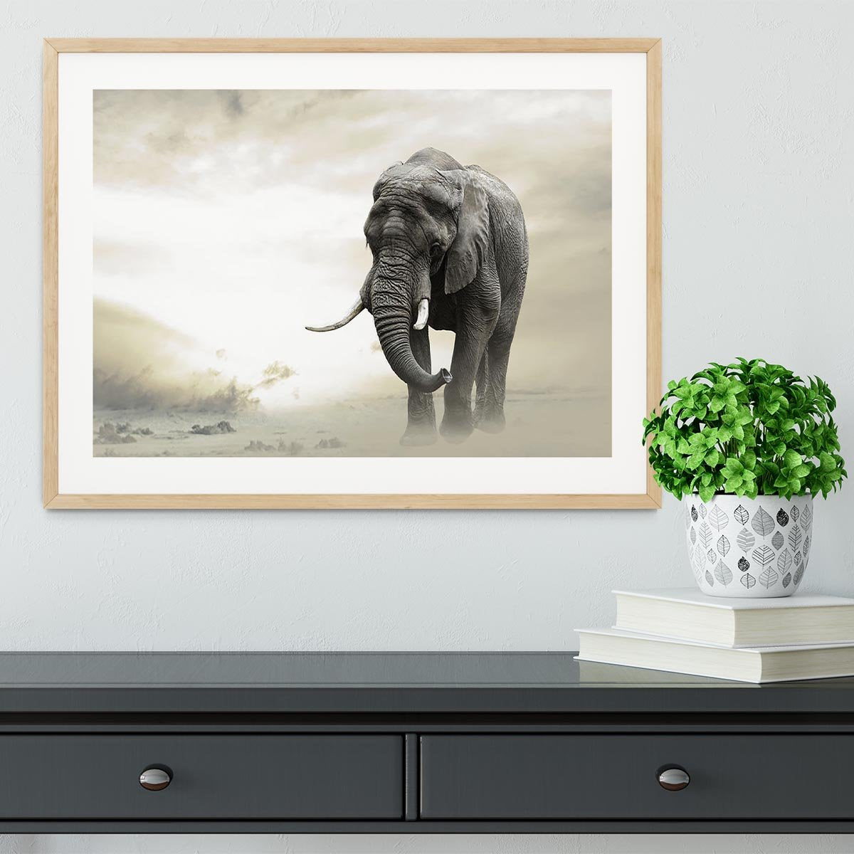 African elephant male walking alone in desert at sunset Framed Print - Canvas Art Rocks - 3