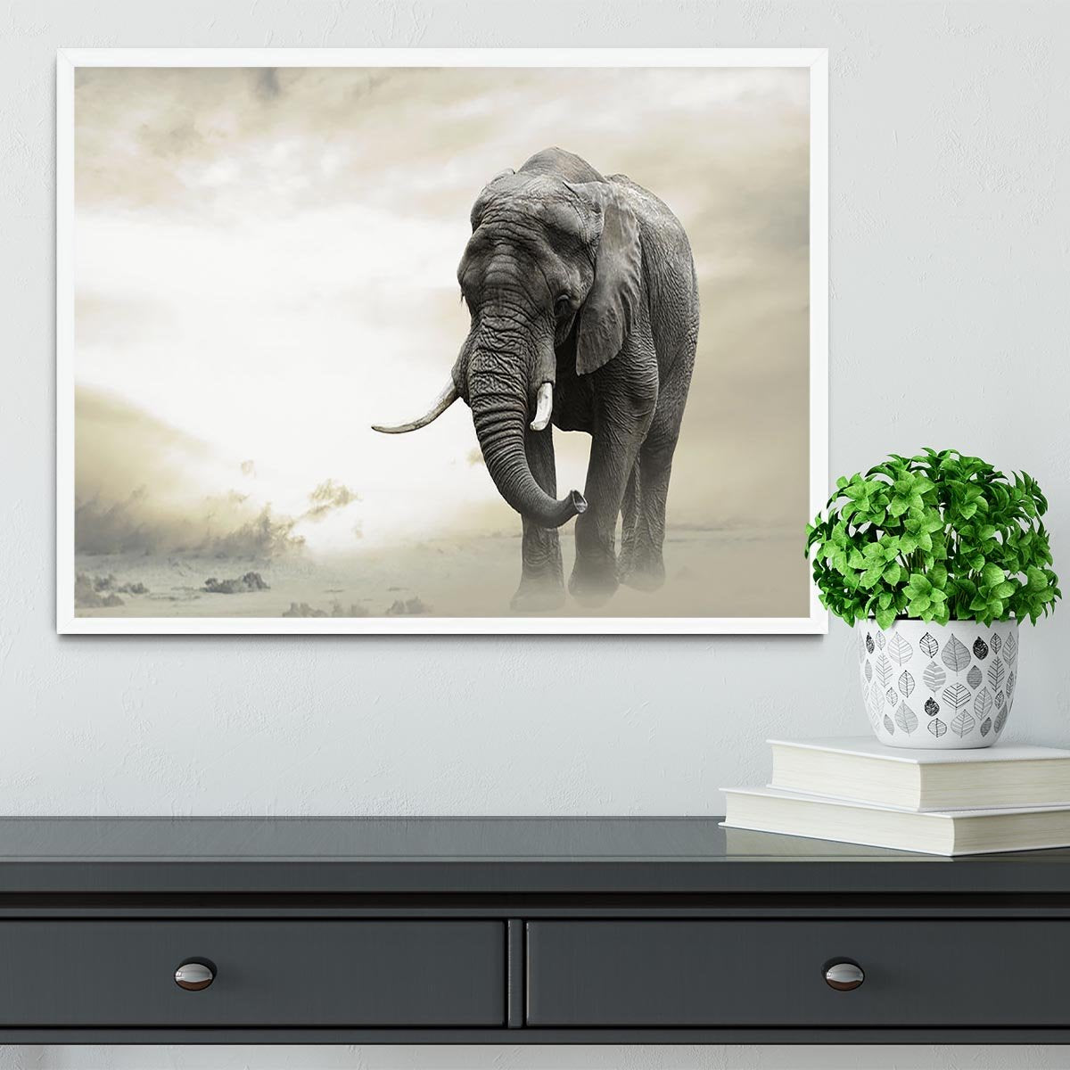 African elephant male walking alone in desert at sunset Framed Print - Canvas Art Rocks -6