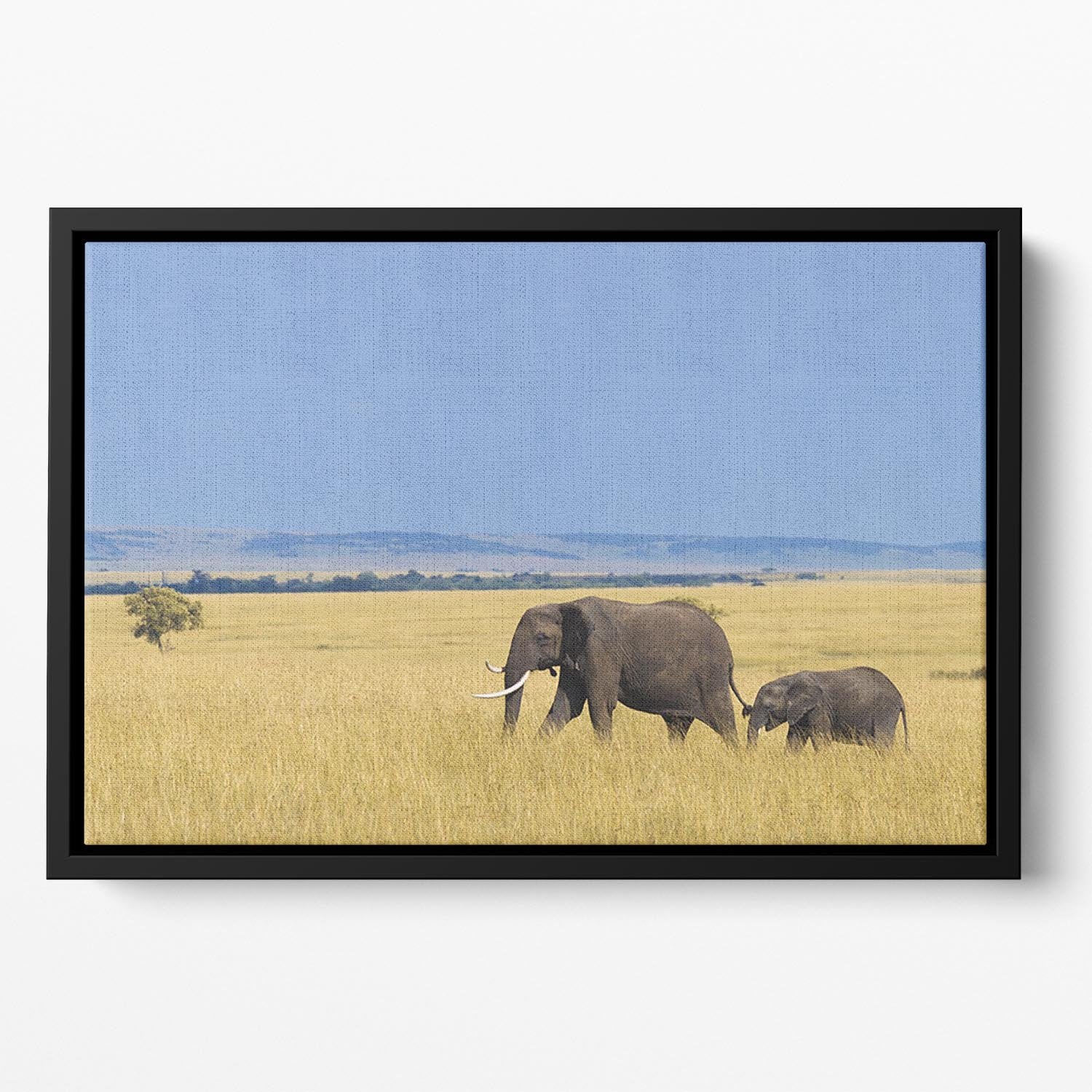 African elephant with calf Floating Framed Canvas - Canvas Art Rocks - 2