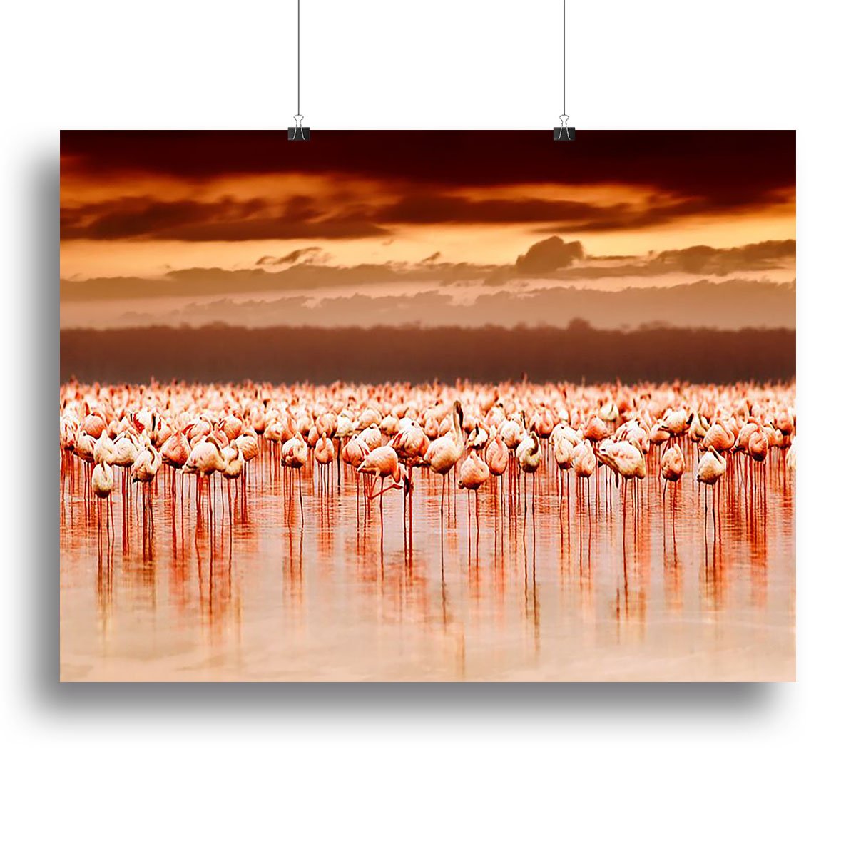 African flamingos in the lake over beautiful sunset Canvas Print or Poster