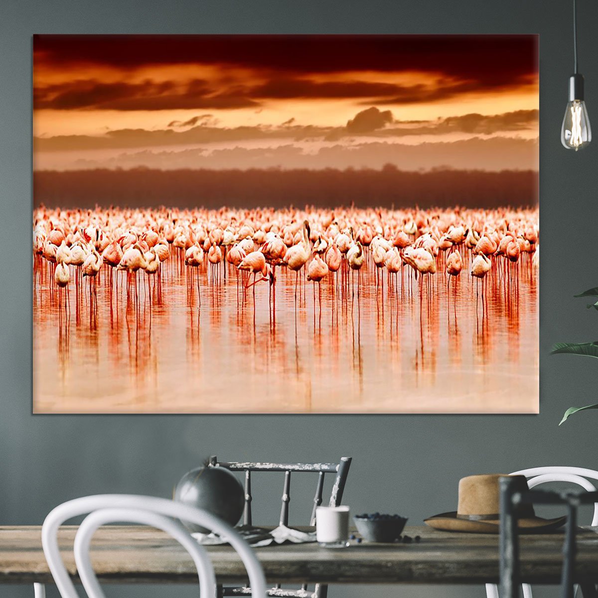 African flamingos in the lake over beautiful sunset Canvas Print or Poster