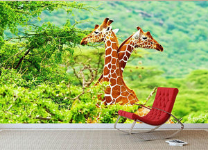 African giraffes family Wall Mural Wallpaper - Canvas Art Rocks - 2