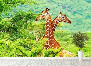 African giraffes family Wall Mural Wallpaper - Canvas Art Rocks - 4