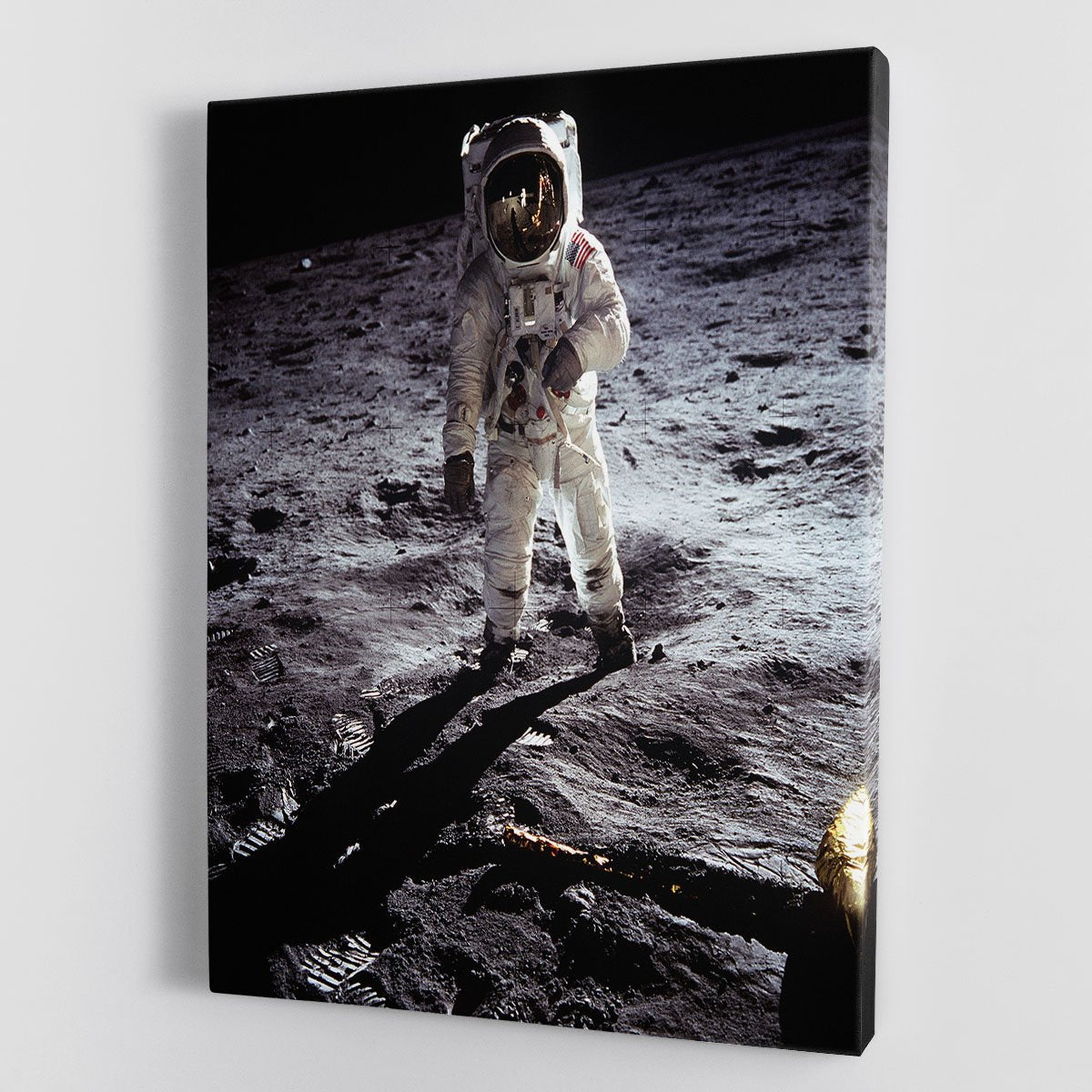 Aldrin Apollo 11 Canvas Print or Poster