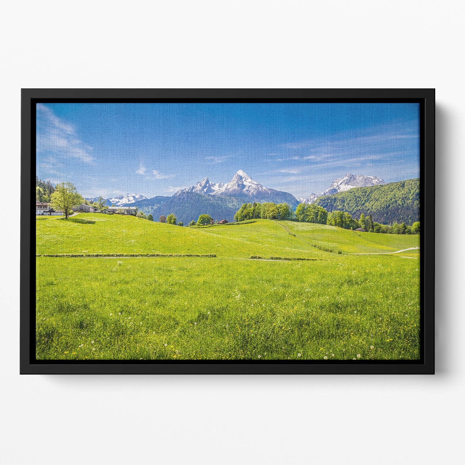 Alps with fresh green meadow Floating Framed Canvas