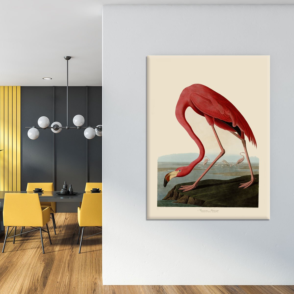 American Flamingo by Audubon Canvas Print or Poster