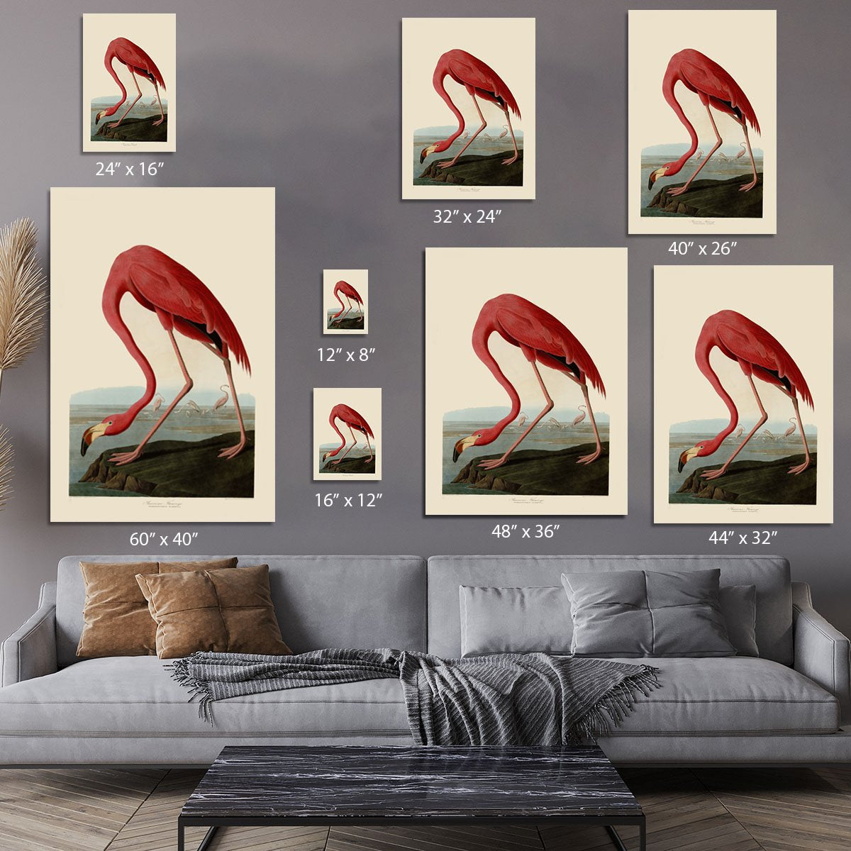 American Flamingo by Audubon Canvas Print or Poster