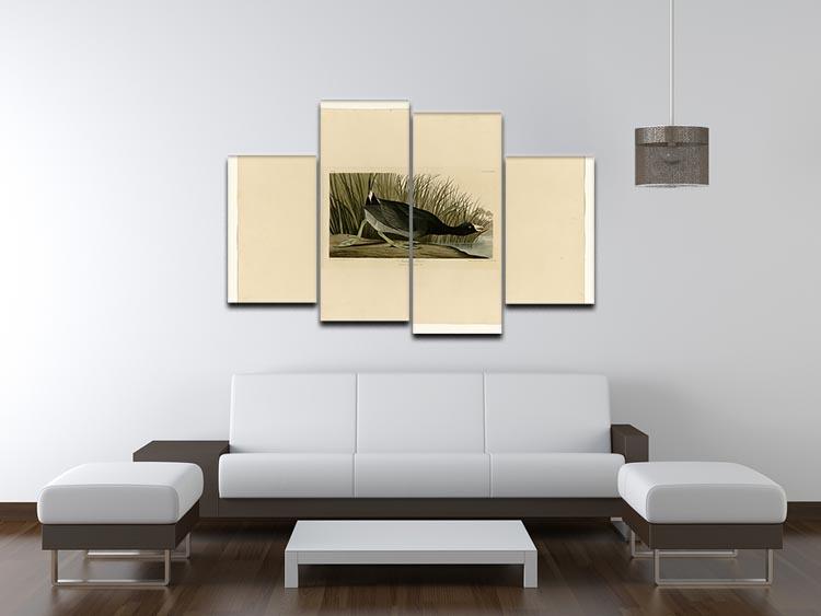American Coot by Audubon 4 Split Panel Canvas - Canvas Art Rocks - 3