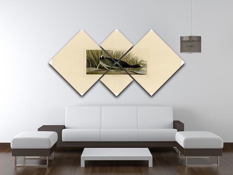 American Coot by Audubon 4 Square Multi Panel Canvas - Canvas Art Rocks - 3