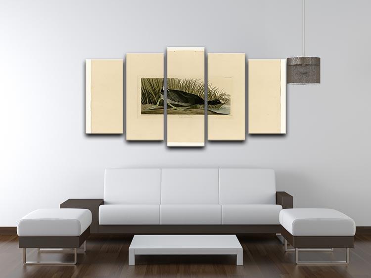 American Coot by Audubon 5 Split Panel Canvas - Canvas Art Rocks - 3