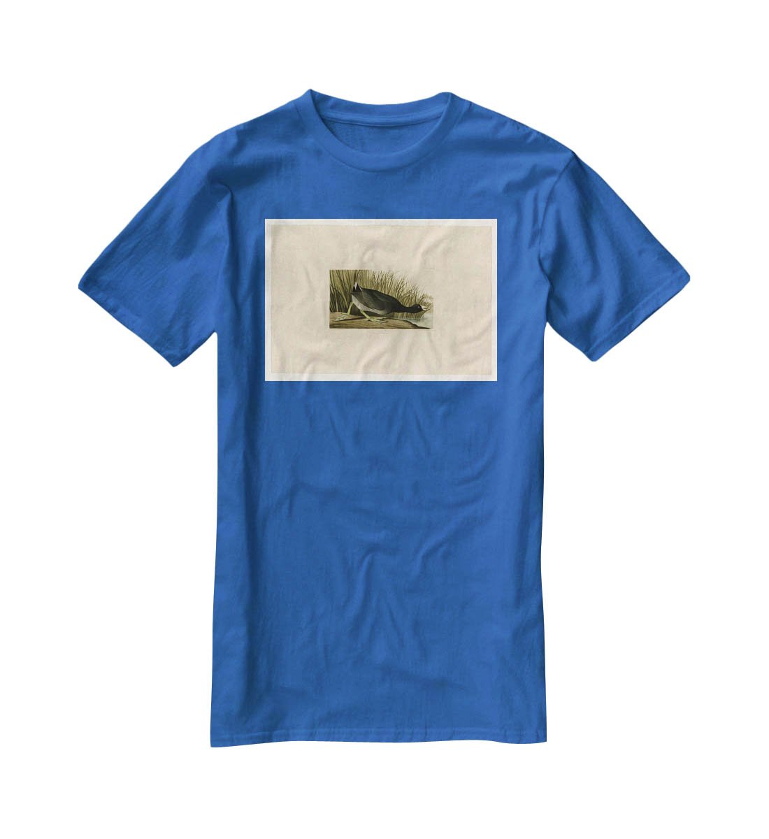 American Coot by Audubon T-Shirt - Canvas Art Rocks - 2