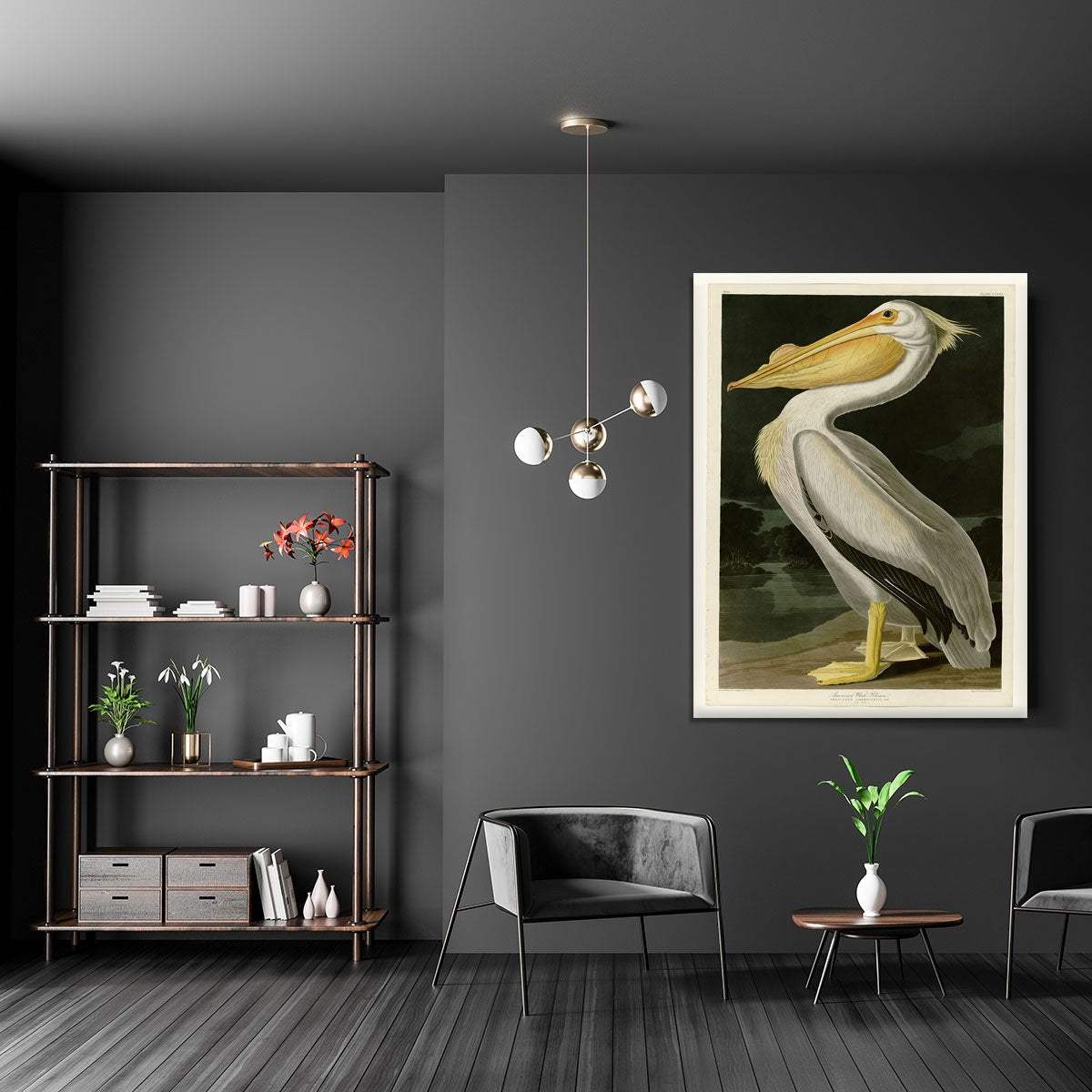 American White Pelican by Audubon Canvas Print or Poster