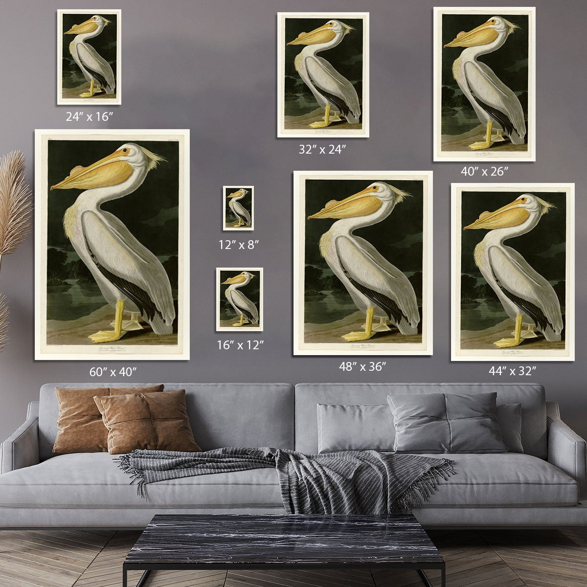 American White Pelican by Audubon Canvas Print or Poster