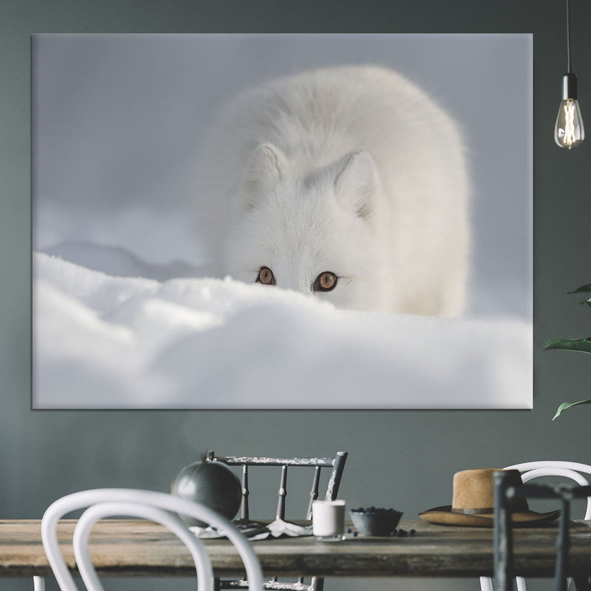 An Arctic Fox peering over a snow drift Canvas Print or Poster