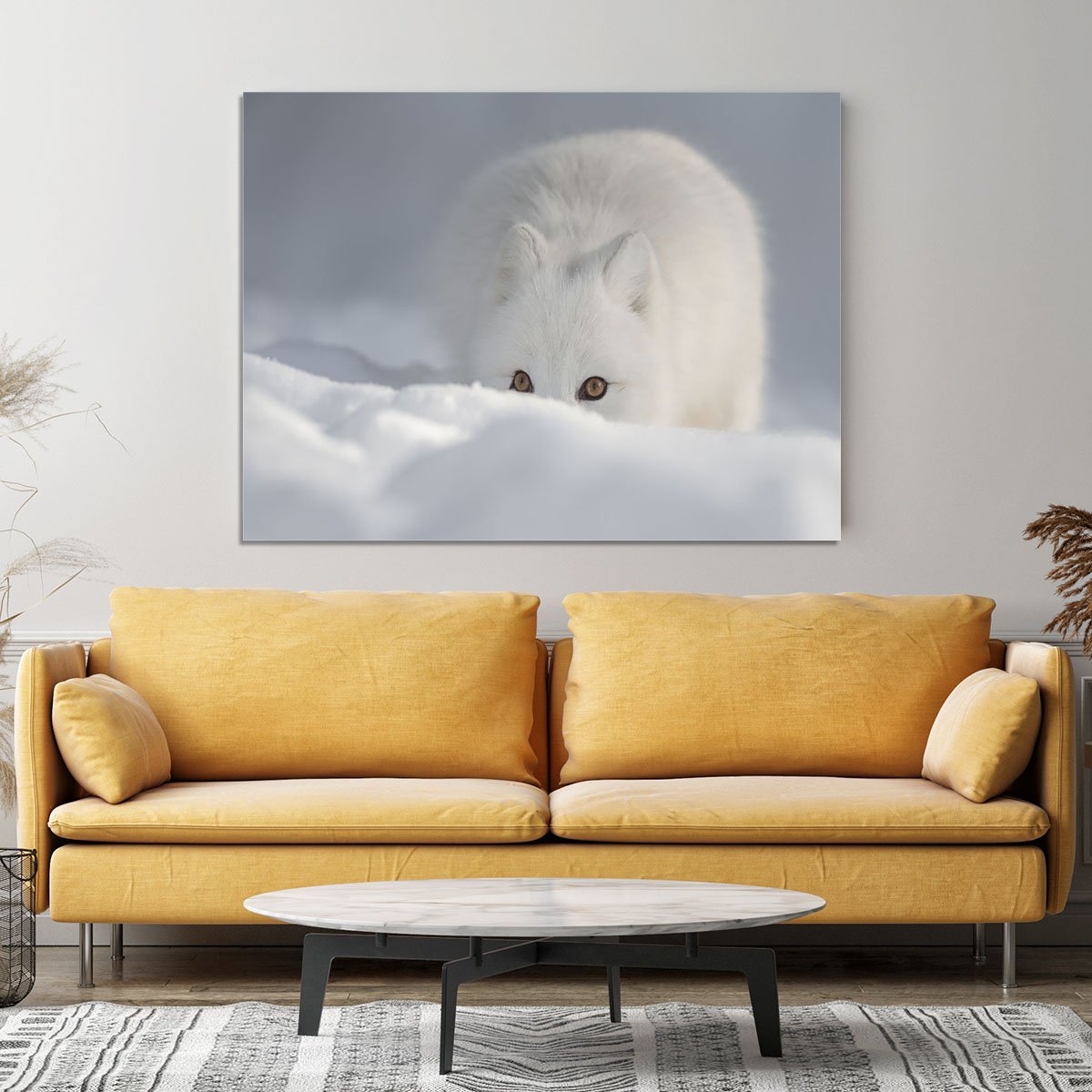 An Arctic Fox peering over a snow drift Canvas Print or Poster
