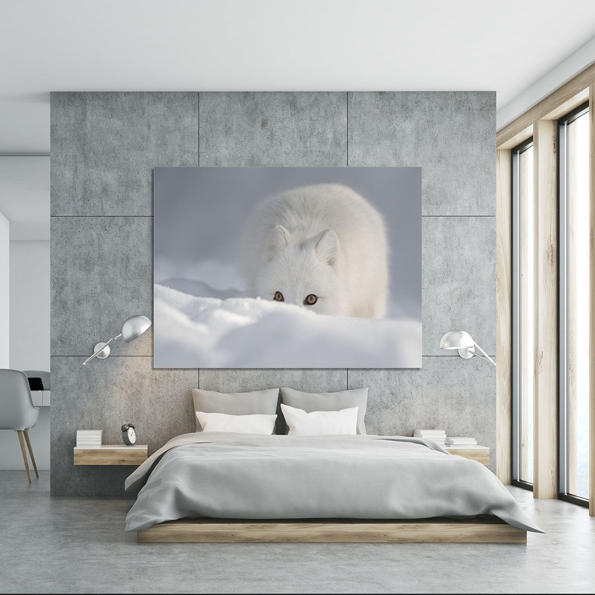 An Arctic Fox peering over a snow drift Canvas Print or Poster
