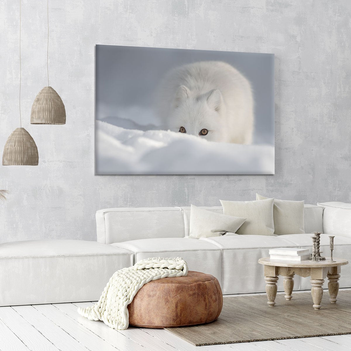 An Arctic Fox peering over a snow drift Canvas Print or Poster