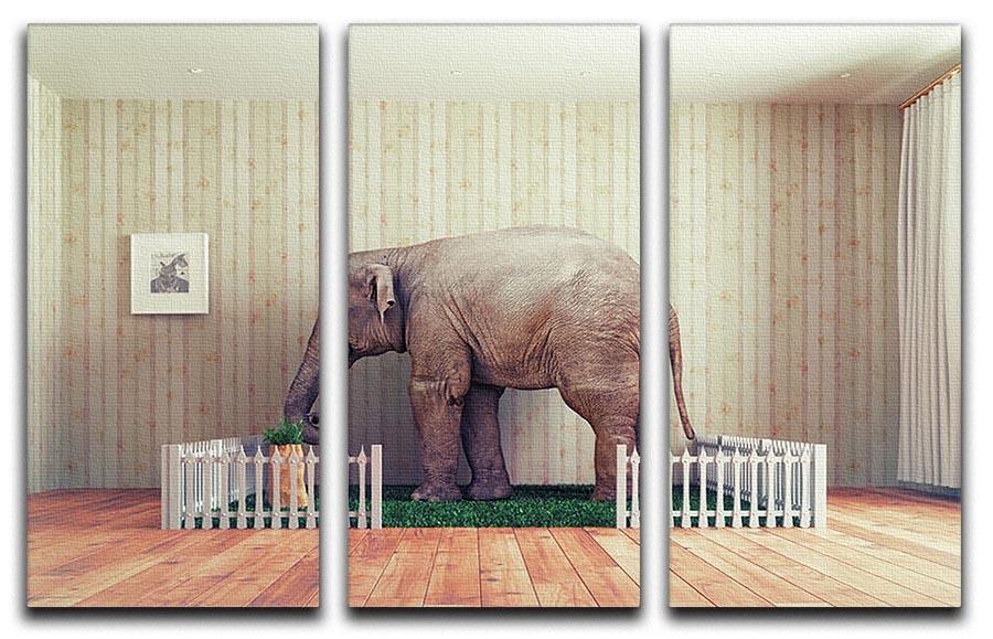 An Elephant calf as the pet 3 Split Panel Canvas Print - Canvas Art Rocks - 1