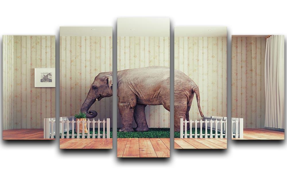 An Elephant calf as the pet 5 Split Panel Canvas - Canvas Art Rocks - 1