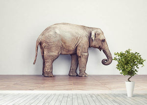 An elephant calm in the room near white wall. Creative concept Wall Mural Wallpaper - Canvas Art Rocks - 4