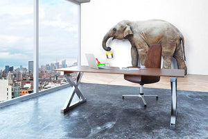 An elephant with paint cans Wall Mural Wallpaper - Canvas Art Rocks - 3