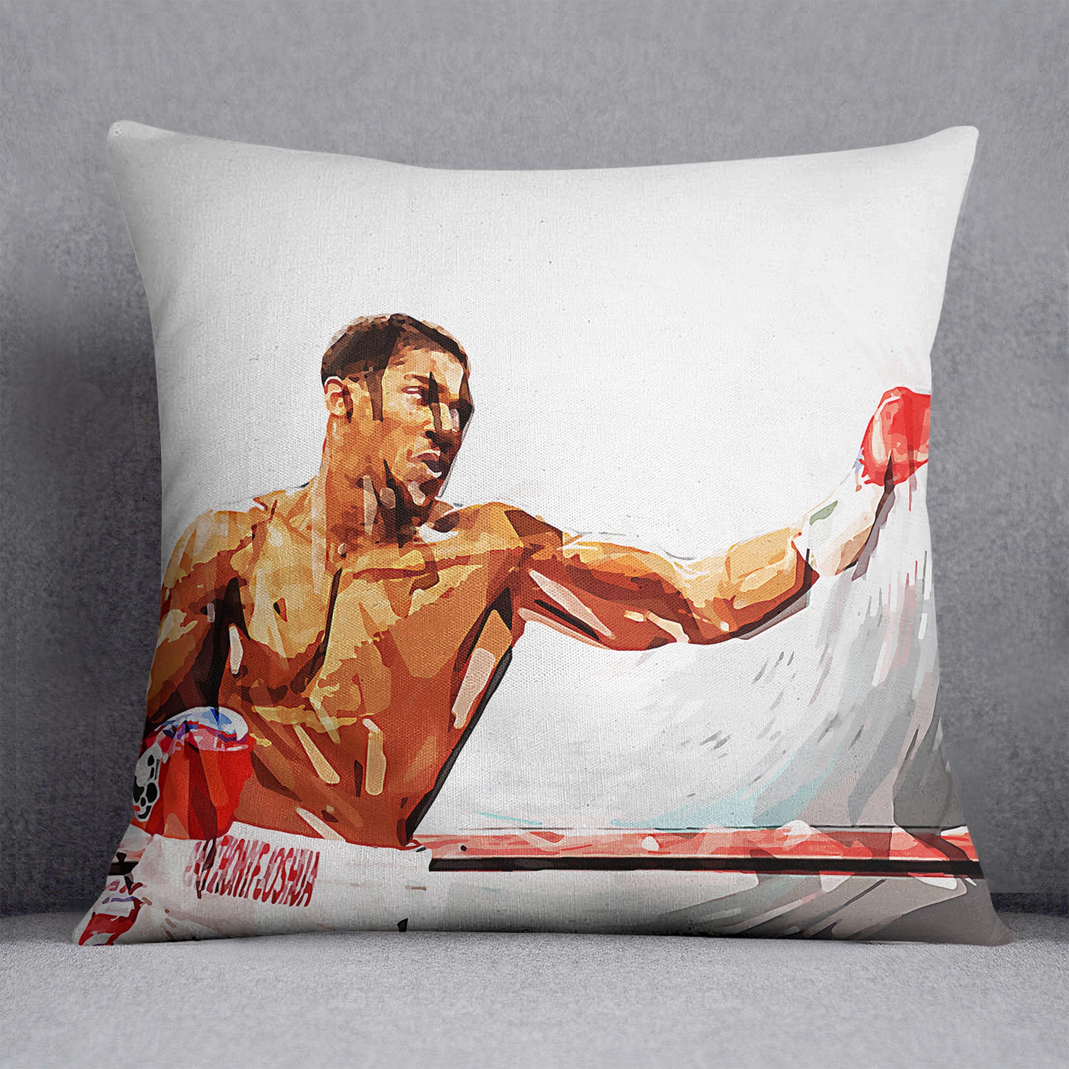 Anthony Joshua Cushion