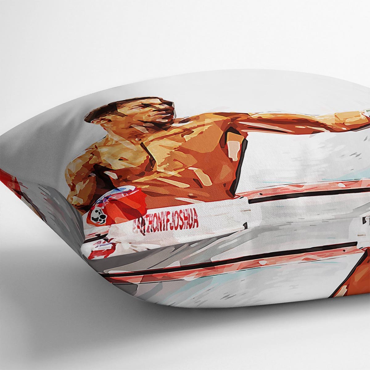 Anthony Joshua Cushion