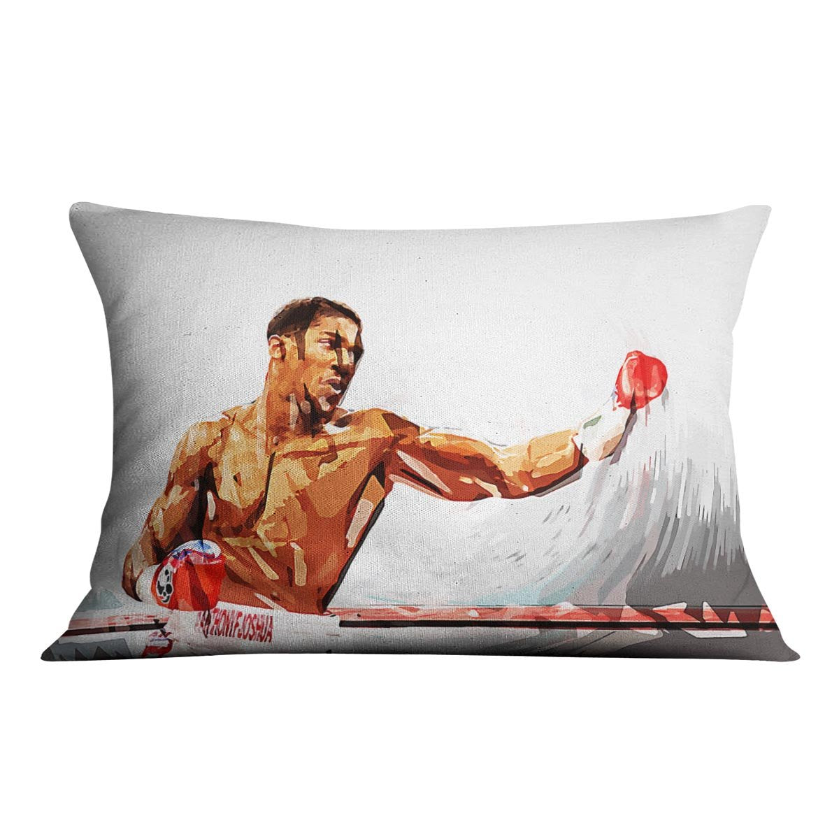 Anthony Joshua Cushion