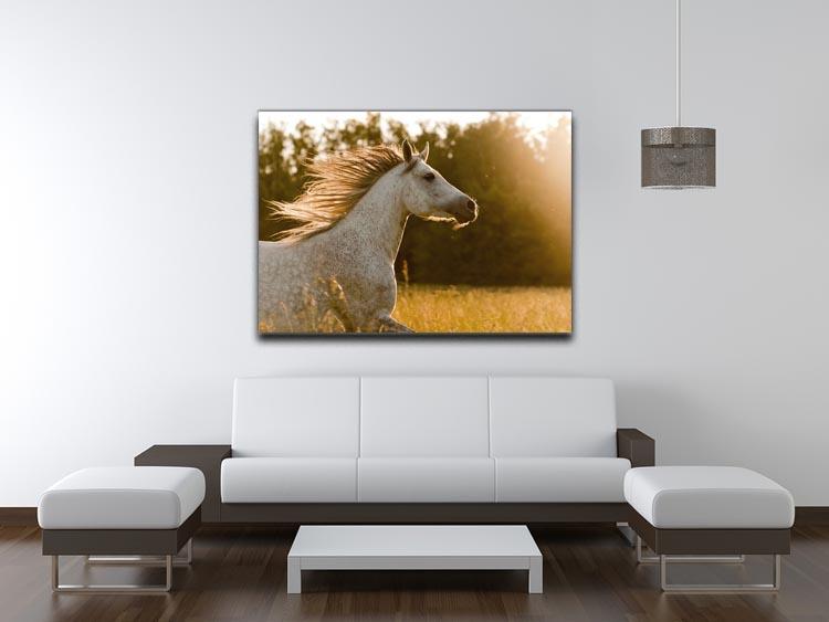 Arab horse in sunset Canvas Print or Poster - Canvas Art Rocks - 4