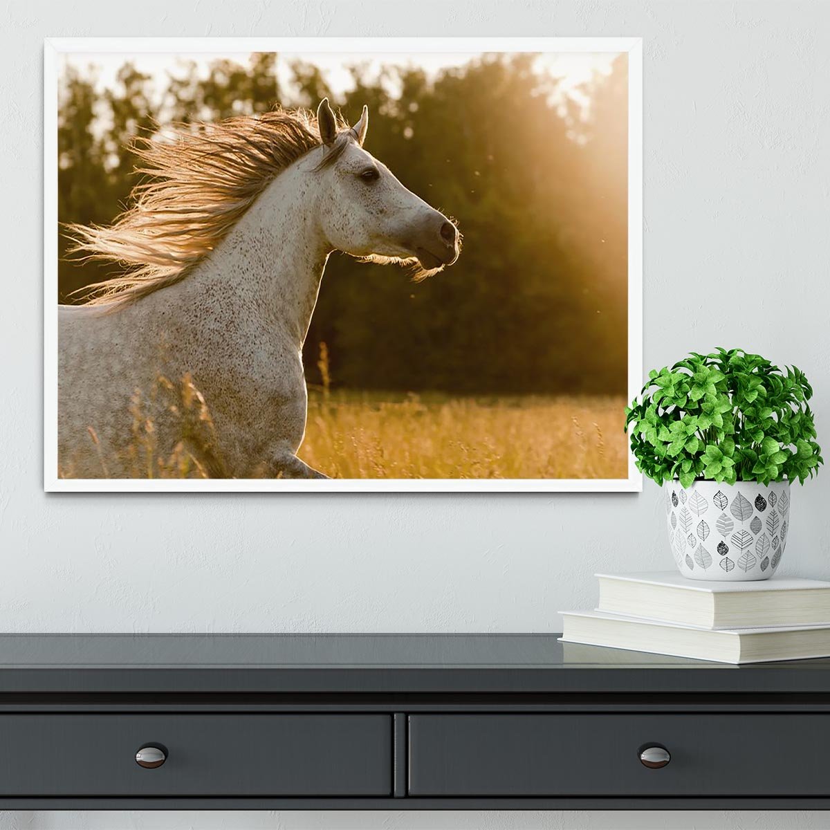 Arab horse in sunset Framed Print - Canvas Art Rocks -6
