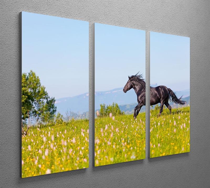 Arab racer runs on a green summer meadow 3 Split Panel Canvas Print - Canvas Art Rocks - 2