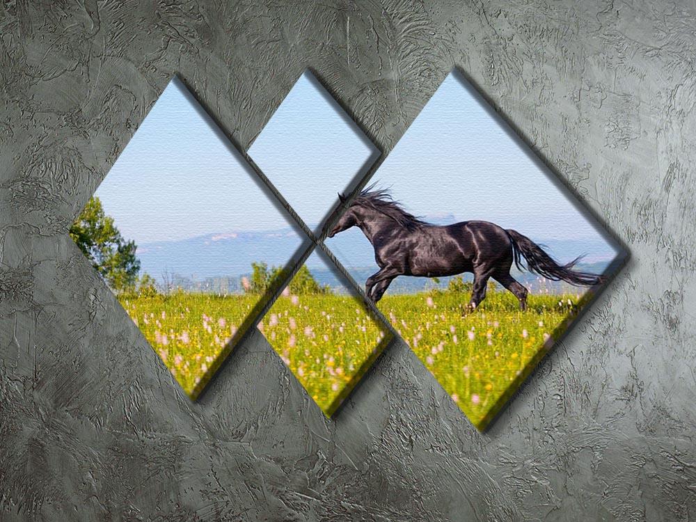 Arab racer runs on a green summer meadow 4 Square Multi Panel Canvas - Canvas Art Rocks - 2