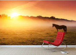Arabian horses grazing on pasture at sundown in orange sunny beams. Dramatic foggy scene Wall Mural Wallpaper - Canvas Art Rocks - 2
