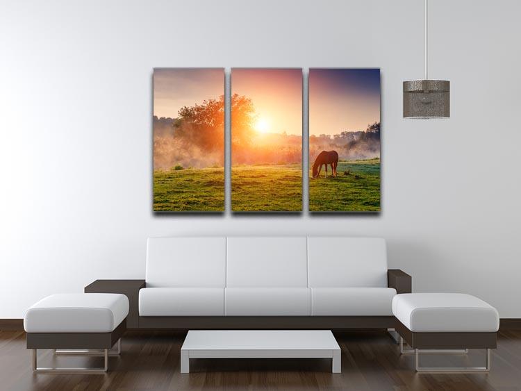 Arabian horses grazing on pasture at sundown in orange sunny beams 3 Split Panel Canvas Print - Canvas Art Rocks - 3