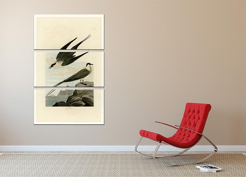 Arctic Yager by Audubon 3 Split Panel Canvas Print - Canvas Art Rocks - 2