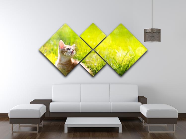 Art little ginger kitten outdoors 4 Square Multi Panel Canvas - Canvas Art Rocks - 3