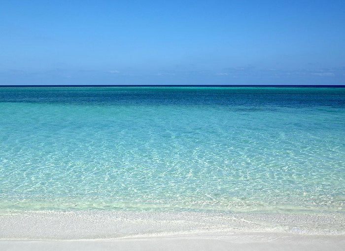 Atlantic Ocean Wall Mural Wallpaper