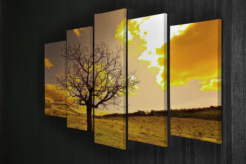 Autumn 5 Split Panel Canvas  - Canvas Art Rocks - 2