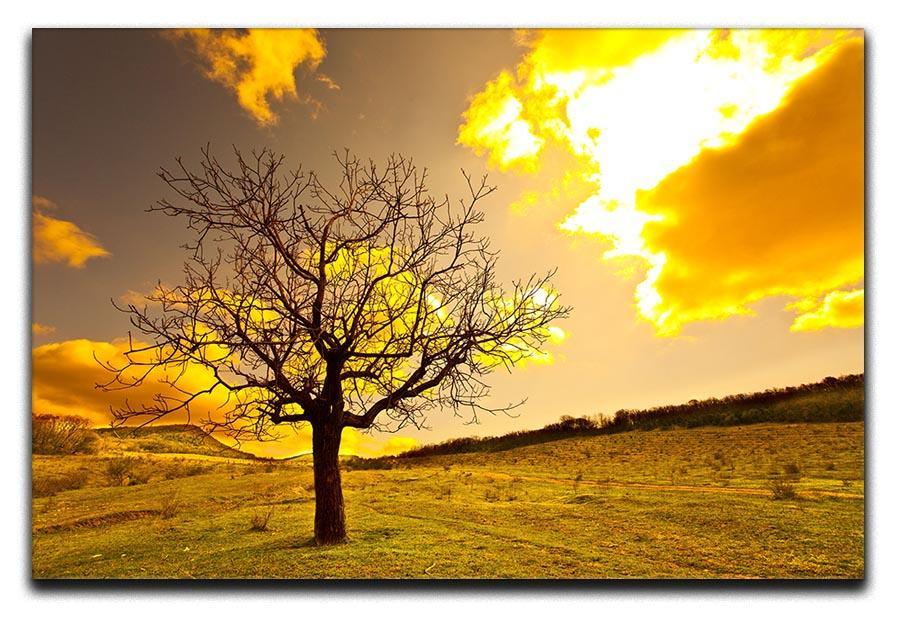 Autumn Canvas Print or Poster  - Canvas Art Rocks - 1