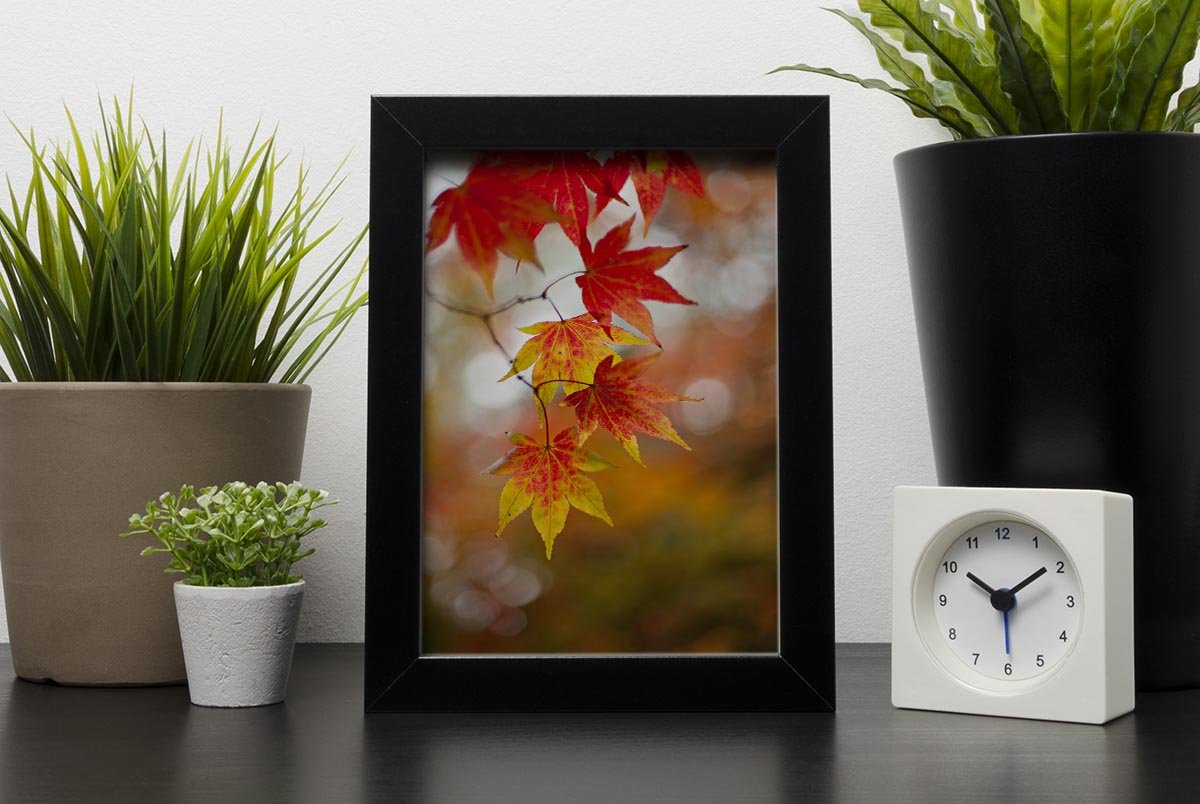 Autumn Colours Framed Print - Canvas Art Rocks - 2