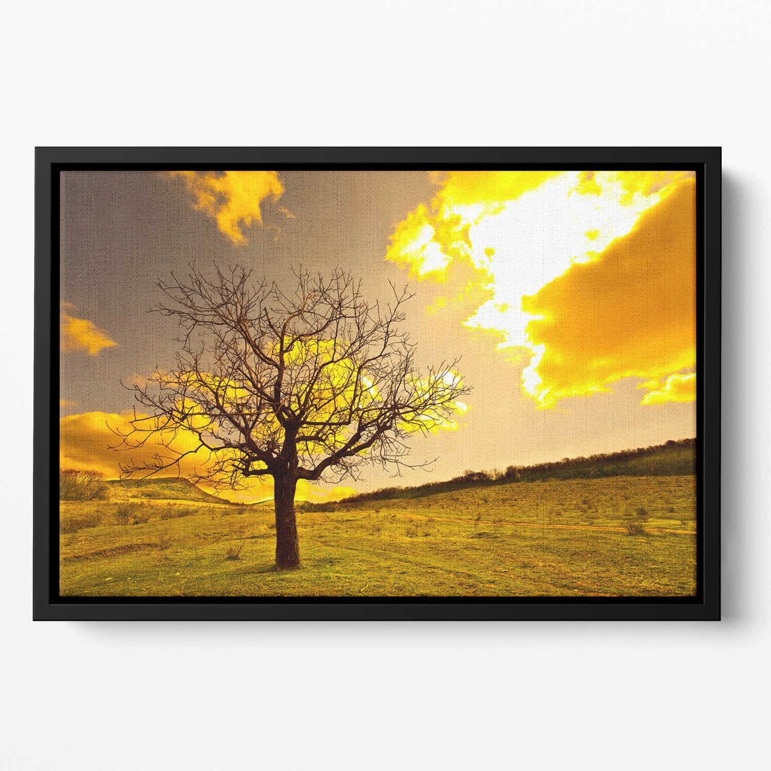 Autumn Floating Framed Canvas