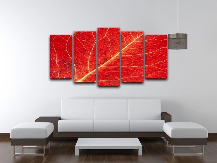 Autumn leaf 5 Split Panel Canvas  - Canvas Art Rocks - 3