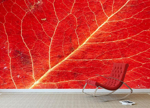 Autumn leaf Wall Mural Wallpaper - Canvas Art Rocks - 2